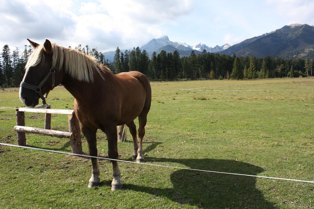 Penzion Koliba Vysoké Tatry المظهر الخارجي الصورة