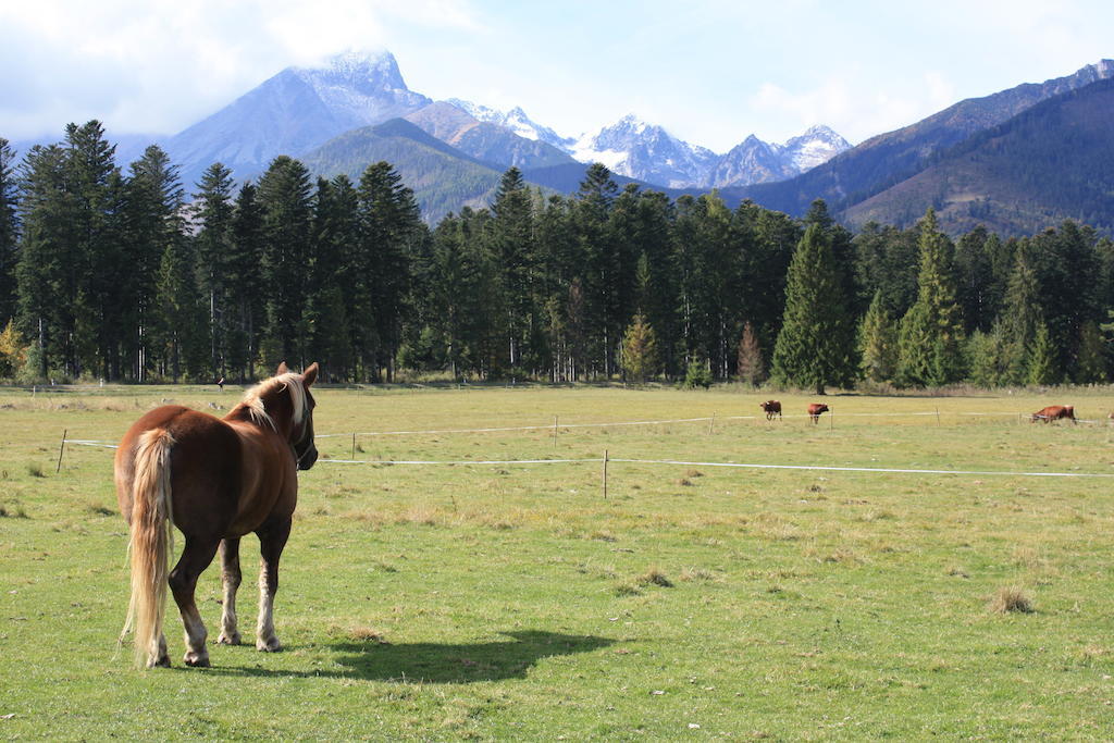 Penzion Koliba Vysoké Tatry المظهر الخارجي الصورة